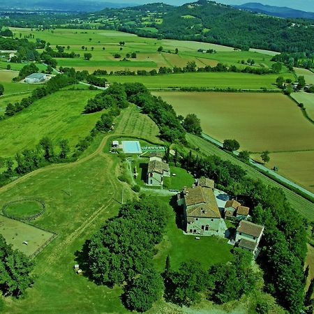 Agriturismo Il Sasso Konuk evi Anghiari Dış mekan fotoğraf