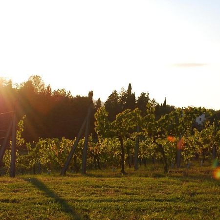 Agriturismo Il Sasso Konuk evi Anghiari Dış mekan fotoğraf