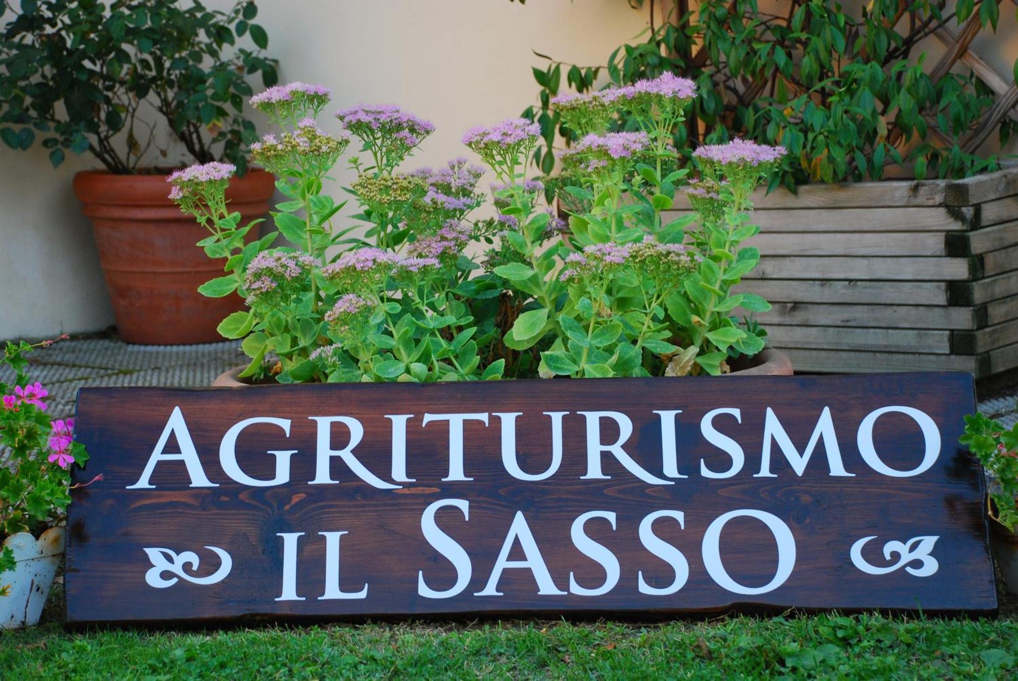 Agriturismo Il Sasso Anghiari Dış mekan fotoğraf