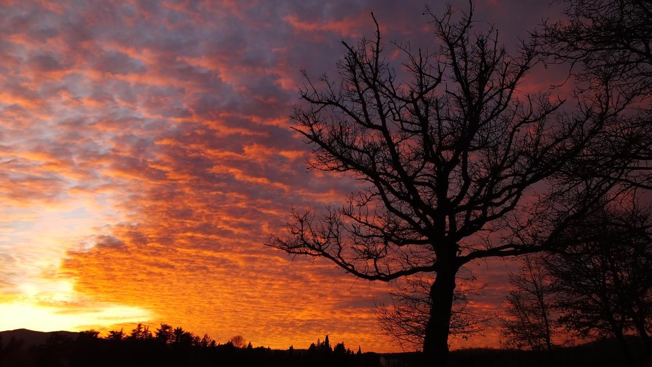 Agriturismo Il Sasso Konuk evi Anghiari Dış mekan fotoğraf